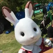 まいこ