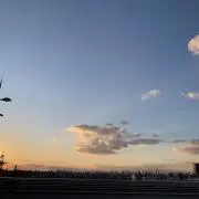 toshiの画像