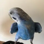 さんたろう