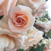 木村(プロフィール読んで下さい❗️の画像