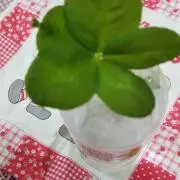 みるの画像