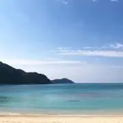 gin