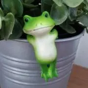 ルッコラの画像