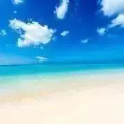 TOMO フォローで5%引き致しますの画像
