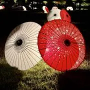 Gの画像