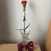 なほ( ¨̮ )の画像