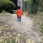 NlKO35の画像
