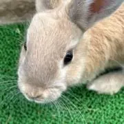 断捨離中❤︎の画像