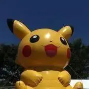 Pikaの画像