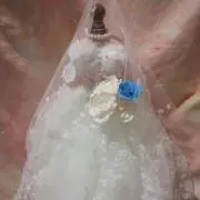 NaNa  Flower ナナフラワー