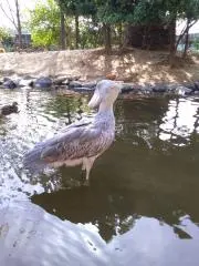 なかさん