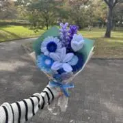 ぽてとの画像