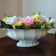 ピーちゃんの画像
