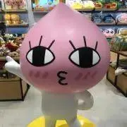 でこちゃんの画像