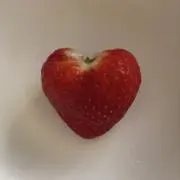 ひつじの画像