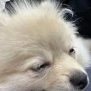 ゆうの画像