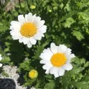 minの画像