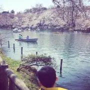 にくの画像