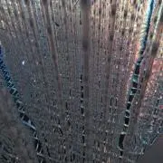 Cassyの画像
