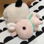 ミーコ
