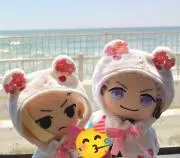 まゆ丸の画像