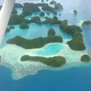 ぺの画像