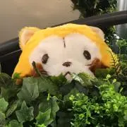 よしりんの画像