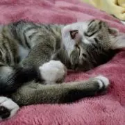 まいん