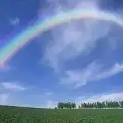 スカイ⭐️安心コメント無し即購入OKですの画像