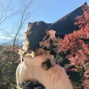 ゆいの画像