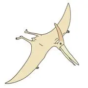 maruの画像