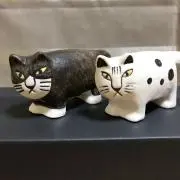 あゅの画像