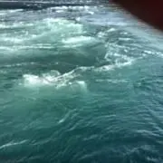 ミヤ