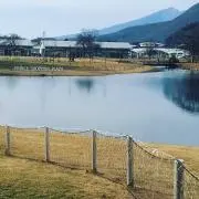 ぽんちゃんの画像
