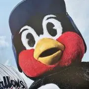 つば九郎推しの画像