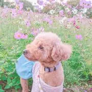 Otter08の画像