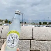 ヴィクトリー