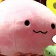 ももりんご@プロフ見てね!