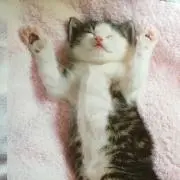 mmmの画像