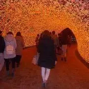 美憂の画像
