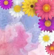 renconの画像