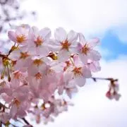 にに