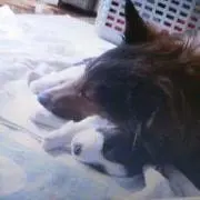 おかあさんの画像