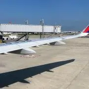 ワイスの画像