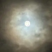 つき(⁠•⁠ө⁠•⁠)⁠プロフご確認を願