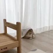 なこの画像