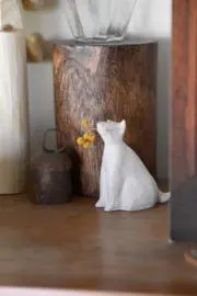 おはなの画像