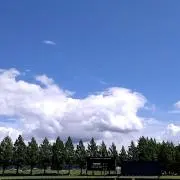 TA-MU★の画像