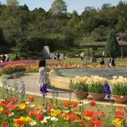 とも☆の画像