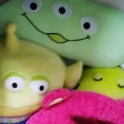 ちょろ、自己紹介確認してくださいの画像
